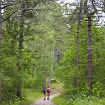 In Near The Nyaraló