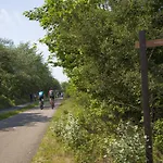 In Near The Nyaraló *