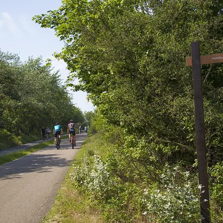 In Near The Дом отдыха *