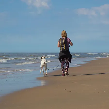 In Near The * Noordwijk