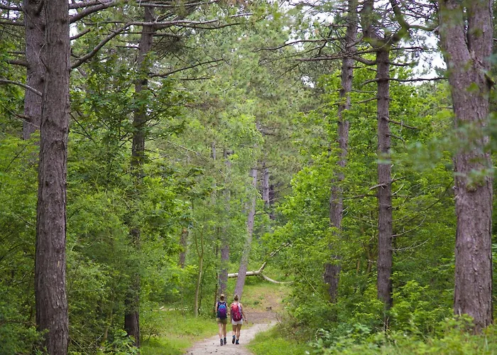 In Near The Holiday home