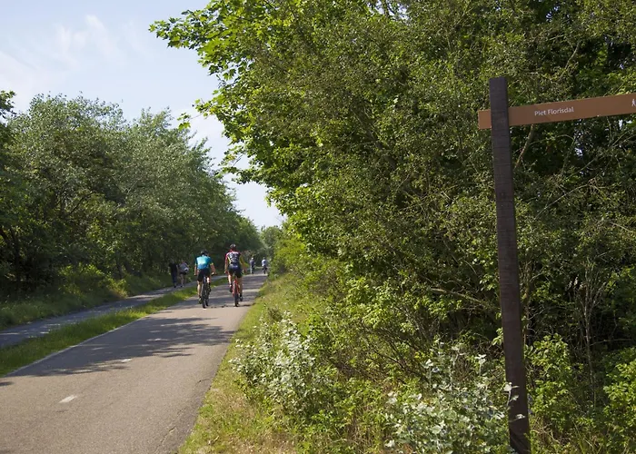 In Near The Holiday home *