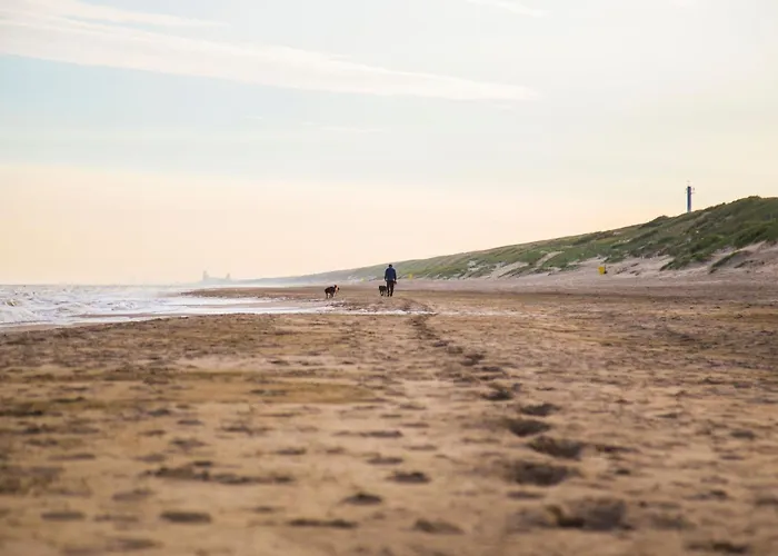 Tatil Evi In Near The Noordwijk