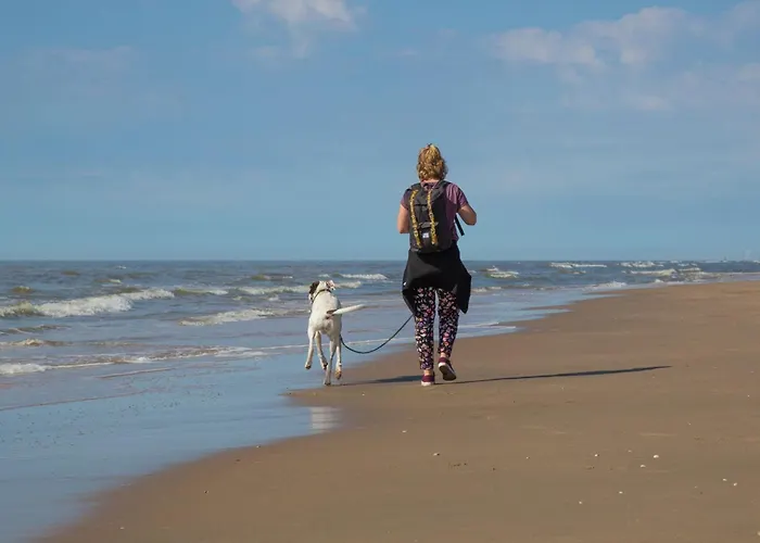 In Near The * Noordwijk