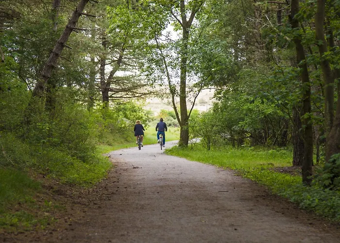 Ferienhaus In Near The Noordwijk