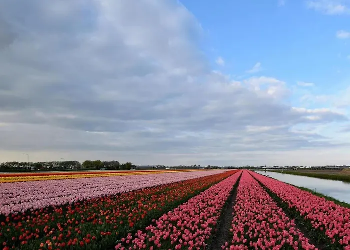 In Near The Ferienhaus *